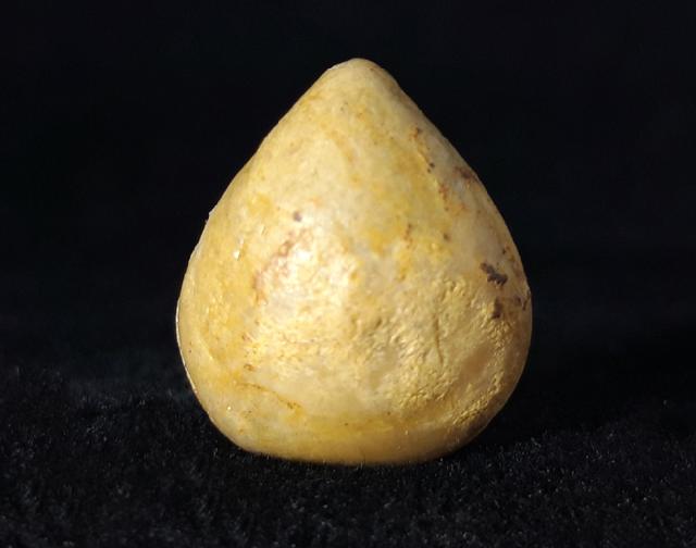 Sphaeroidothyris globisphaeroidalis (BUCKMAN 1914) - Bild © FossNet FossilienStore